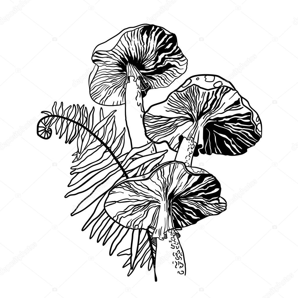 Black and white image of poisonous fly agaric mushrooms. Print or tattoo. Vector illustration