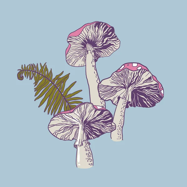 Gekleurde Afbeelding Van Giftige Vliegen Agaric Paddestoelen Afdrukken Tatoeëren Vectorillustratie — Stockvector