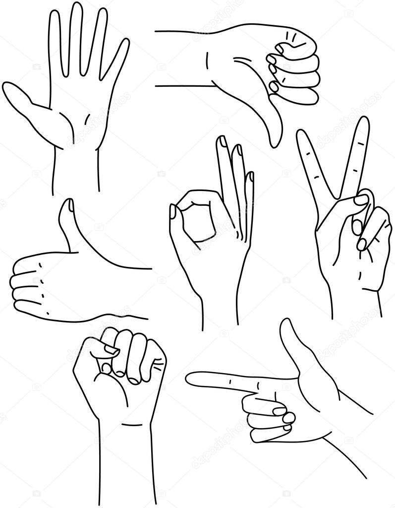 Hand position set. Fist index finger thumbs up, victory, thumbs down, okey gestures. Vector illustration