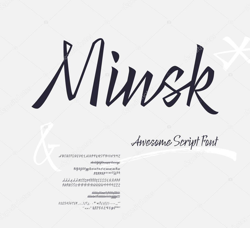 Minsk Script Font. Vector Set of Letters. Vector illustration