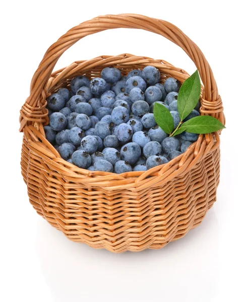 Blueberries in a basket — Stock Photo, Image