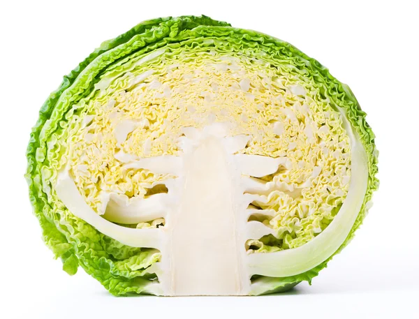 Savoy cabbage — Stock Photo, Image