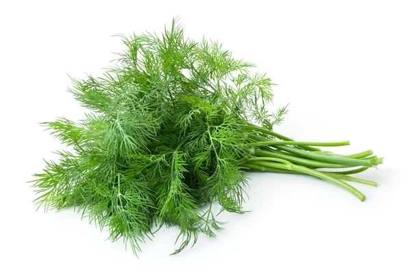 Dill isolerade — Stockfoto