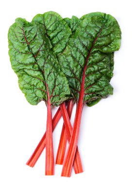 İsviçre Chard