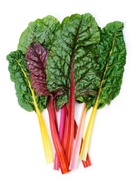 Swiss chard gökkuşağı