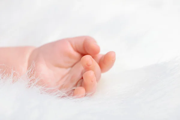 Baby hand on white fur. — Stock Photo, Image