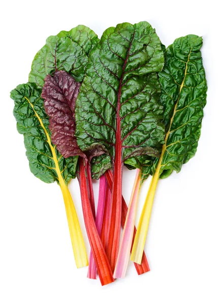 Swiss chard Rainbow — Stock Photo, Image