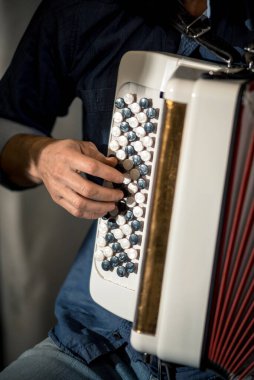 accordion player close-up playing the white button accordion
