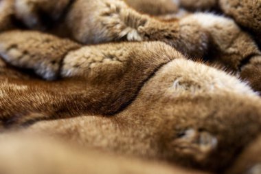 close-up of pieces of brown wool for the whole frame