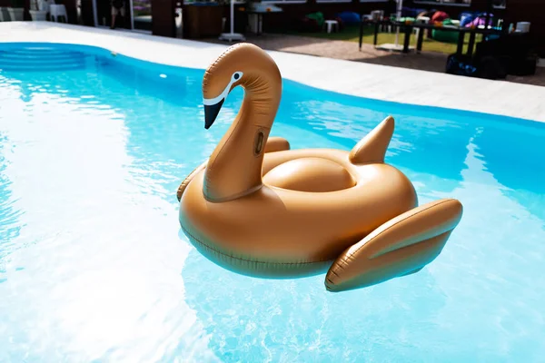 Large Inflatable Beige Swan Middle Pool Blue Water — Zdjęcie stockowe
