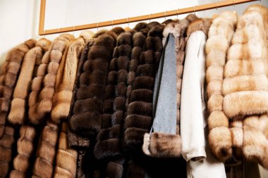 Various fur coats hang in the shop