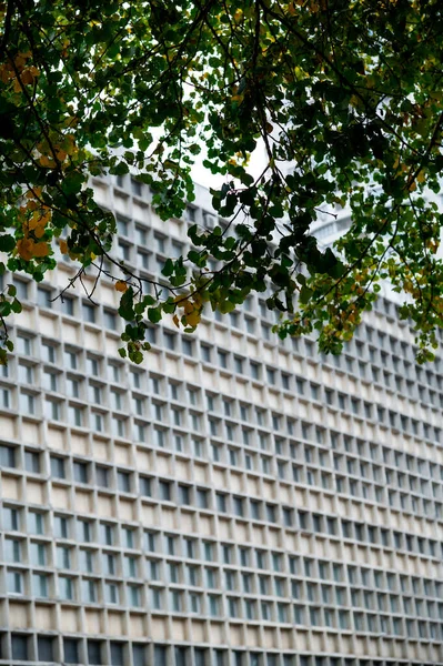 Glass grey square Windows of modern city business building skyscraper. Glass balconies in the building. Modern apartment buildings in new neighborhood. Windows of a building, texture