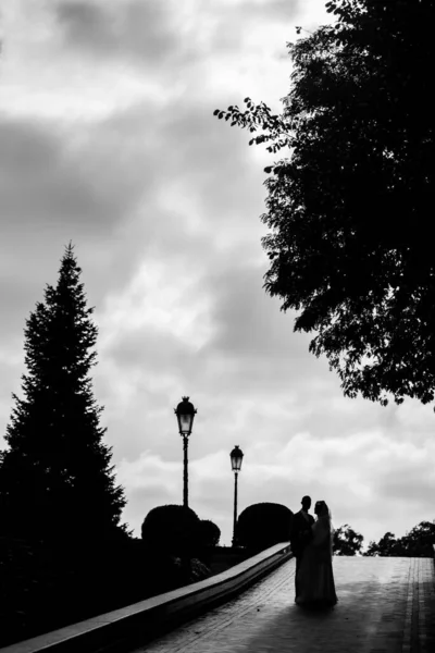 Black White Photo Silhouettes Newlyweds Sky — Stockfoto