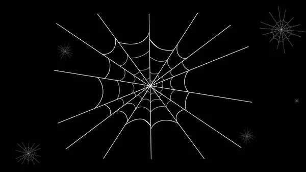 Spider web and spider in the dark. White cobweb on black background