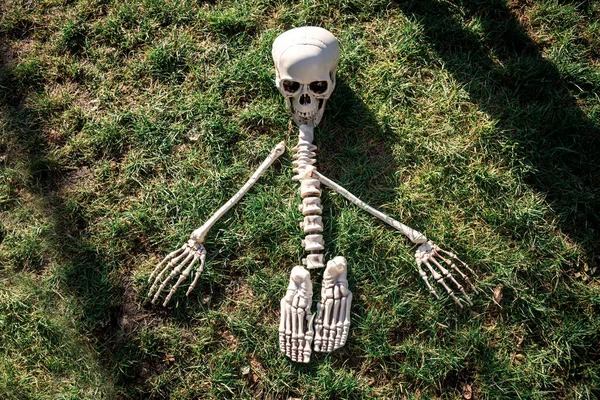 Αστείο Παιχνίδι Ανθρώπινο Σκελετό Βρίσκεται Στο Γρασίδι — Φωτογραφία Αρχείου