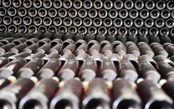 Old bottles of red wine — Stock Photo, Image