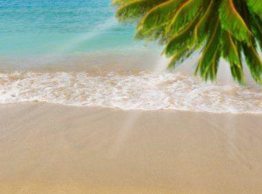 adada güneşli tropikal plaj