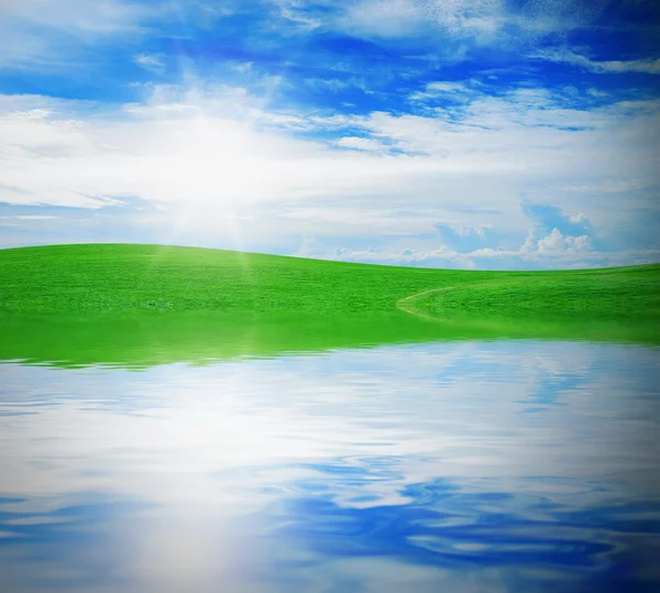 Grama verde contra um céu azul ensolarado — Fotografia de Stock