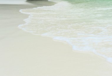 adada güneşli tropikal plaj