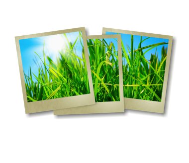 Mavi güneşli gökyüzü karşı yeşil çimen