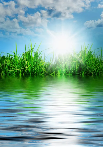 Grama verde contra um céu azul ensolarado — Fotografia de Stock