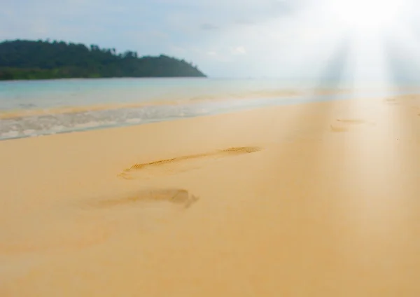 Słoneczny tropikalny plaży na wyspie — Zdjęcie stockowe