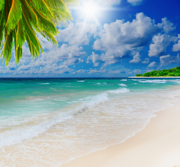 Sunny tropical beach on the island