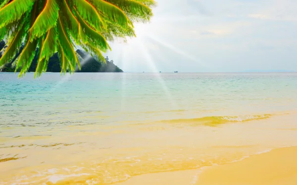 Playa tropical soleada en la isla — Foto de Stock