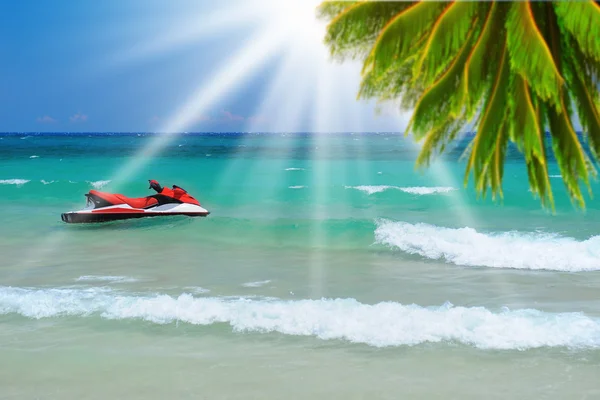 Sunny tropical beach on the island — Stock Photo, Image