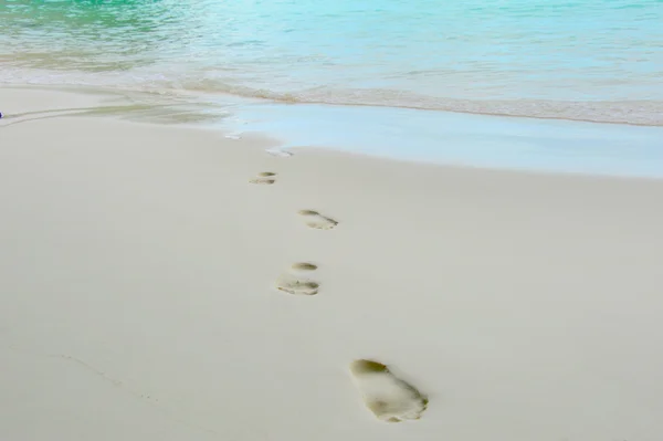 Trail barefoot feet in the sand — Stock Photo, Image