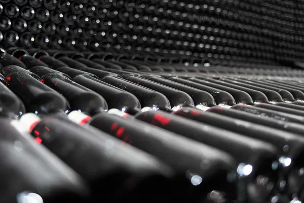 Viejas botellas de vino tinto —  Fotos de Stock