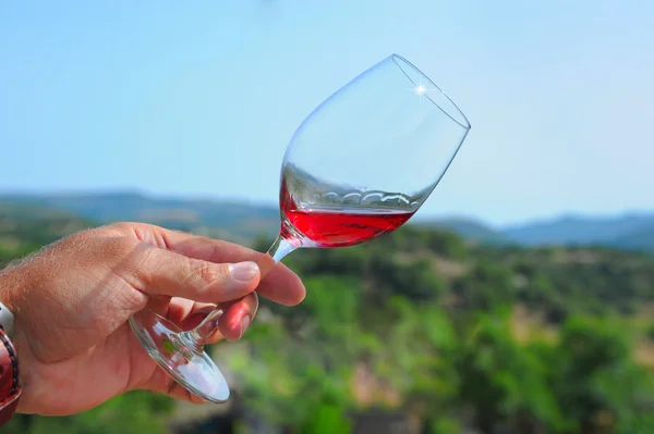 Glass of red wine — Stock Photo, Image