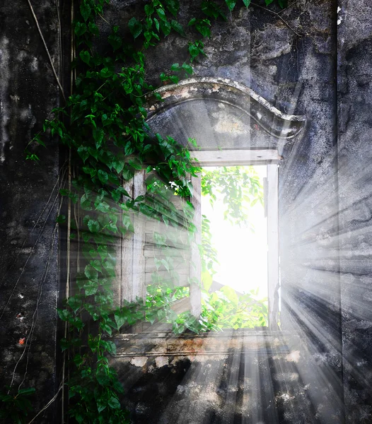 Window in the stone wall — Stockfoto