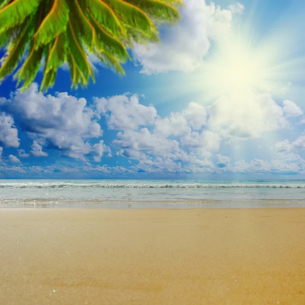 Sonniger tropischer Strand auf der Insel Stockfoto