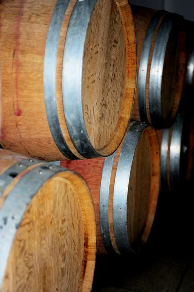 Wooden barrel cask for wine — Stock Photo, Image