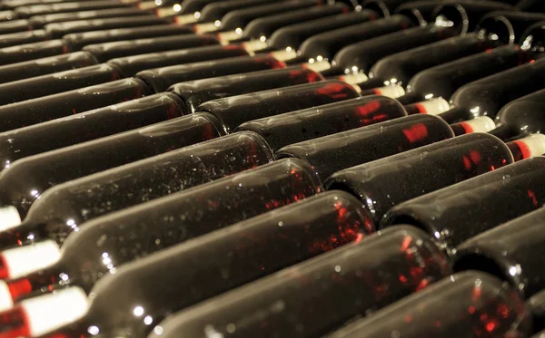 Old bottles of red wine — Stock Photo, Image