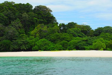 adada güneşli tropikal plaj