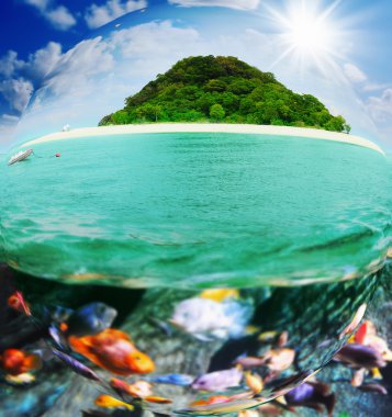 adada güneşli tropikal plaj