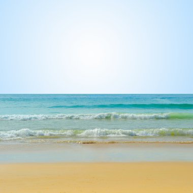 adada güneşli tropikal plaj