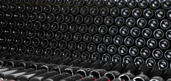 Old bottles of red wine — Stock Photo, Image