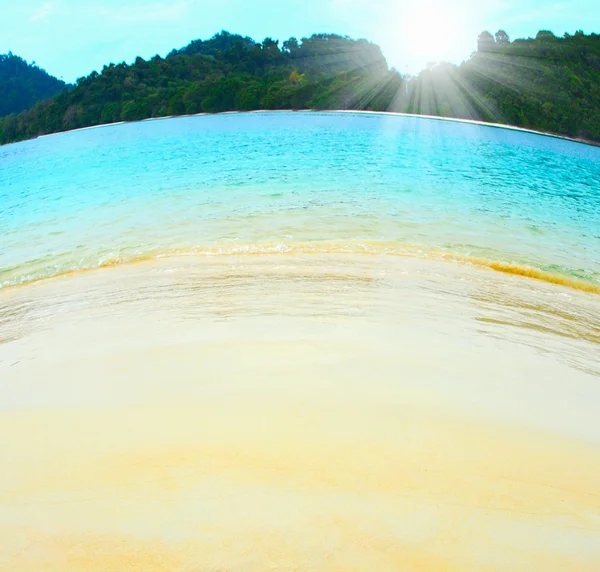 Sonniger tropischer Strand auf der Insel — Stockfoto