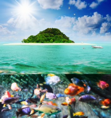 adada güneşli tropikal plaj