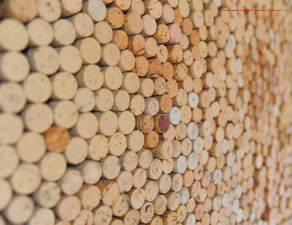 Corchos de botella de vino — Foto de Stock