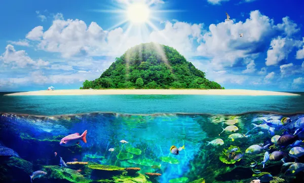 adada güneşli tropikal plaj