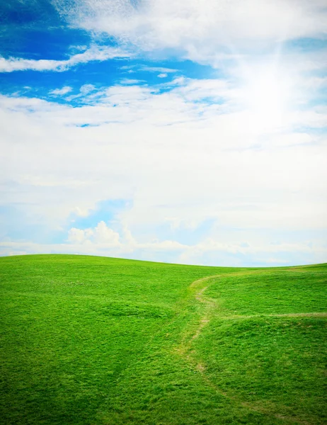 Zielona trawa przeciw błękitne niebo słoneczny — Zdjęcie stockowe
