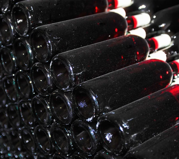 Old bottles of red wine — Stock Photo, Image