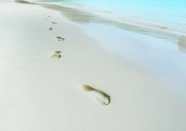 Trail barefoot feet in the sand — Stock Photo, Image