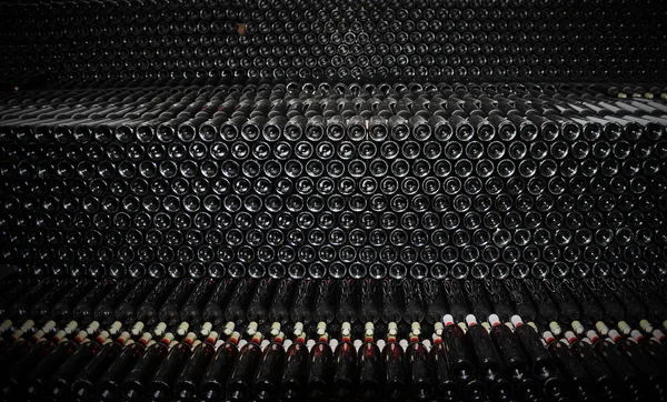 Staré lahve červeného vína — Stock fotografie