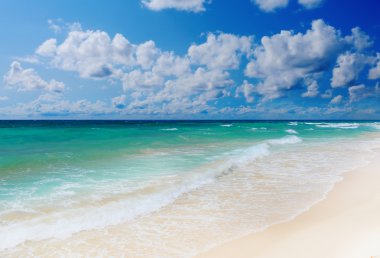 adada güneşli tropikal plaj