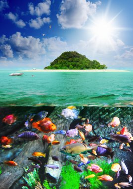 adada güneşli tropikal plaj